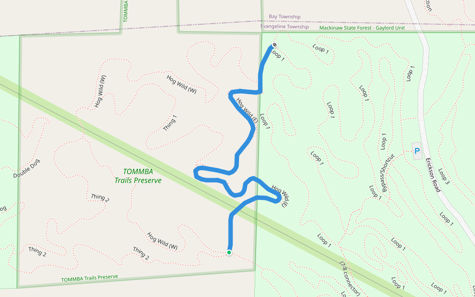 Hog Wild (E) walking route map in Boyne City