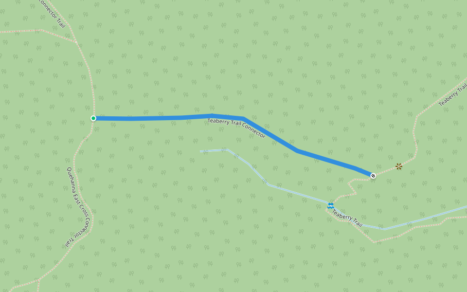 Teaberry Trail Connector walking route map in Weedville