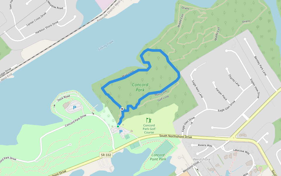 Main Loop