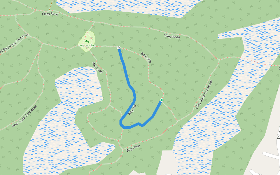 Bog Hill walking route map in Raymond