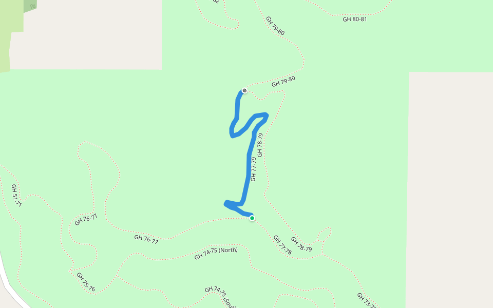 GH 77-79 walking route map in Bellaire