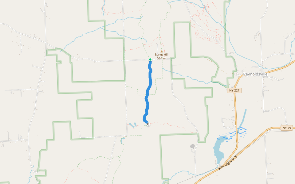 Interlaken Trail Hiking Burdett, New York Pacer