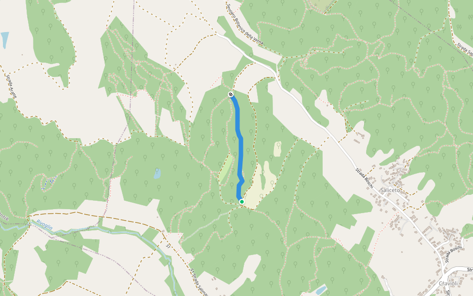 MTB Canyon SB1 walking route map in Saliceto