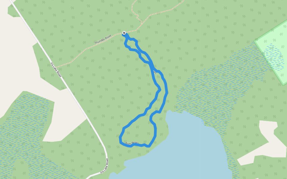 Both Bears walking route map in Lion's Head