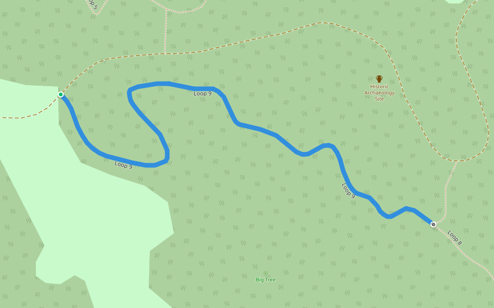 Loop 9