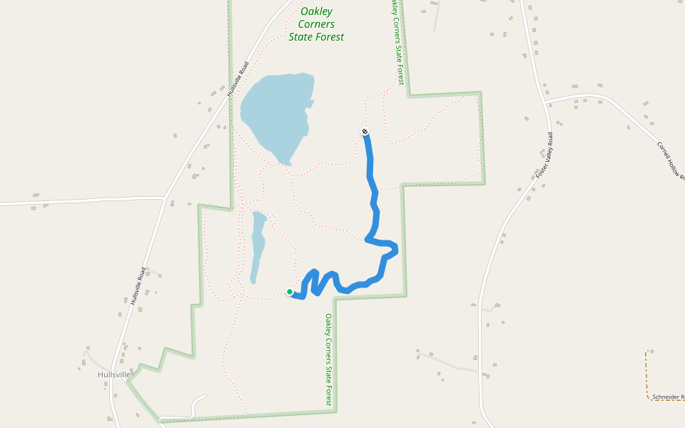 Y6 walking route map in Owego