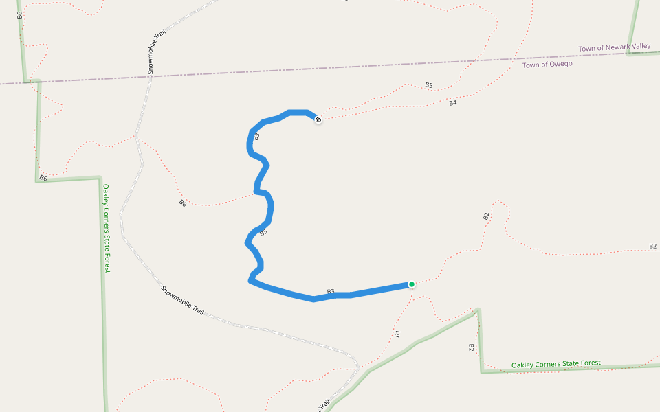 B3 walking route map in Owego