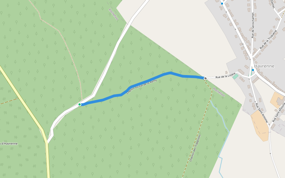 Chemin Vicinal de St Remy walking route map in Rochefort