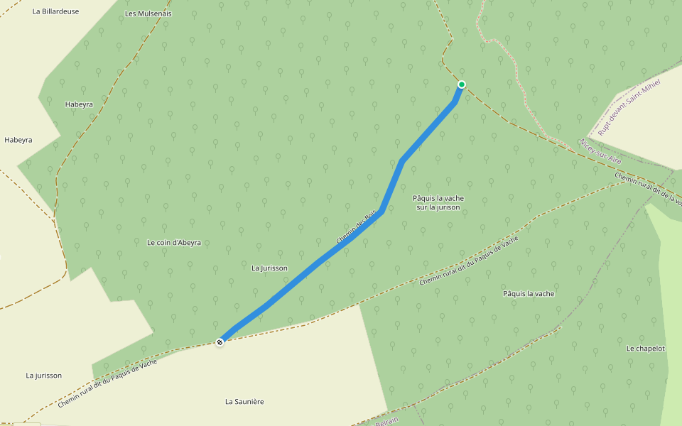 Chemin des Bois walking route map in Nicey-sur-Aire
