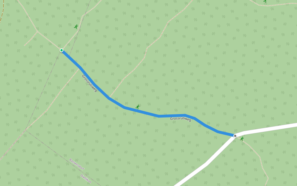 Grossrütiweg Walking And Running Trail Dietlikon, Zürich Pacer