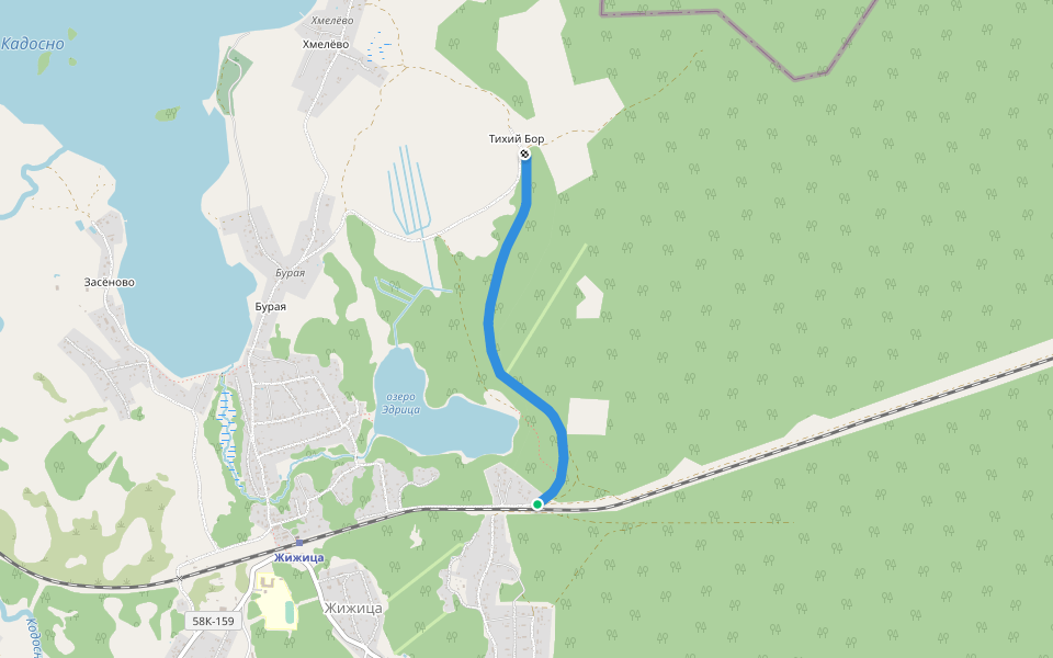 Тропа по полотну разобраной железной дороги walking route map in Zhizhitsa