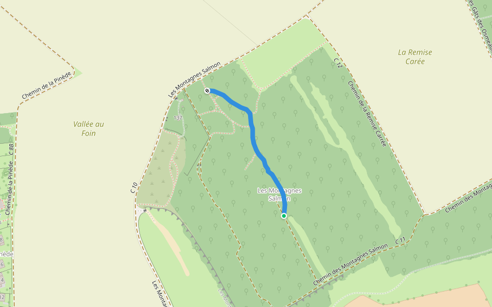 Chemin de Huyen walking route map in Cherisy