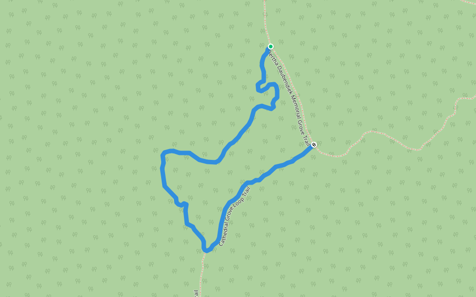Cathedral Grove Loop Trail walking route map in Eagle Harbor