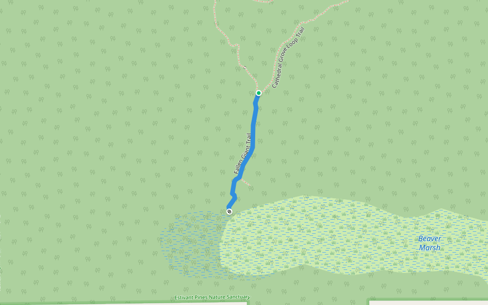 Fallen Giant Trail walking route map in Eagle Harbor