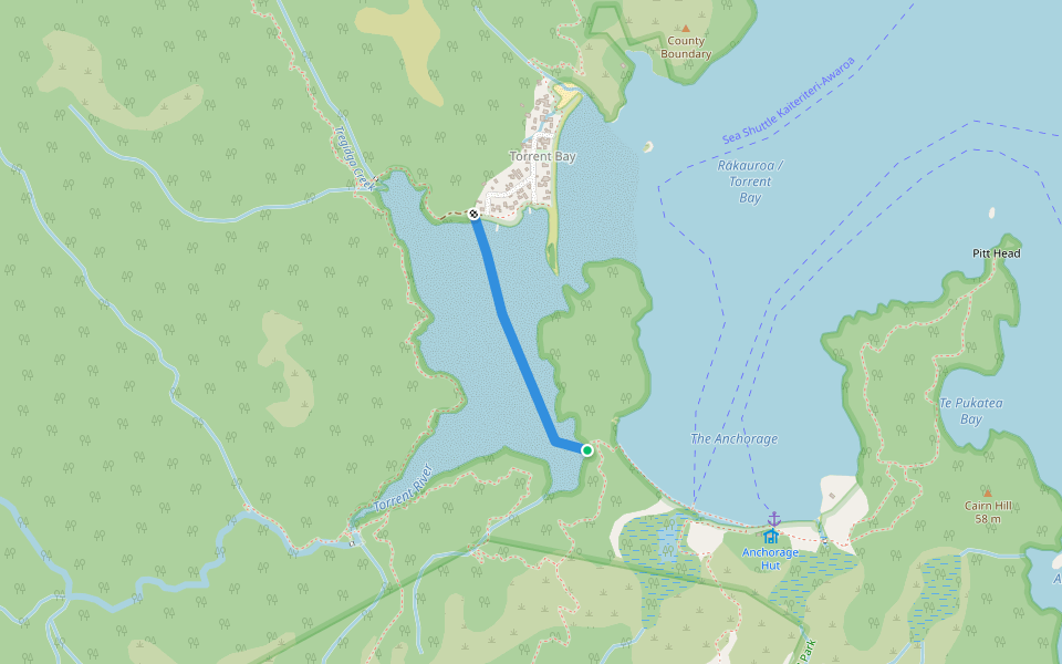 Abel Tasman Coast Track (Low Tide) walking route map in Torrent Bay