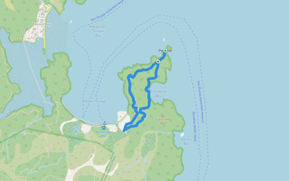 Pitt Head Loop walking route map in Torrent Bay