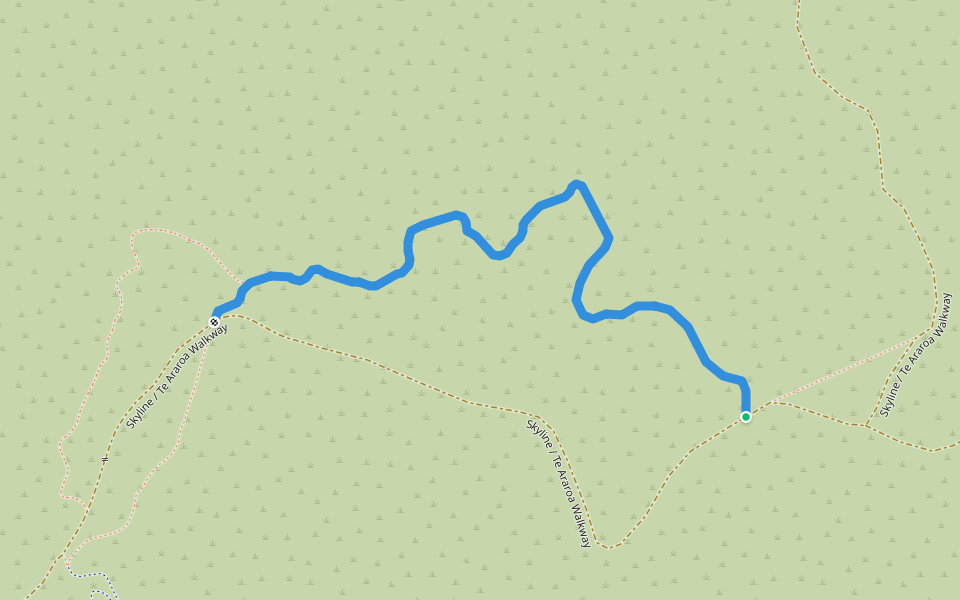 Skyline / Te Araroa / Northern Walkway easy gradient