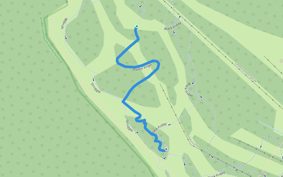 Forest Virgin walking route map in Železná Ruda