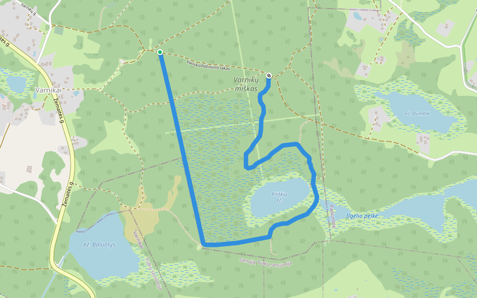 Varnikų pažintinis takas walking route map in Varnikai