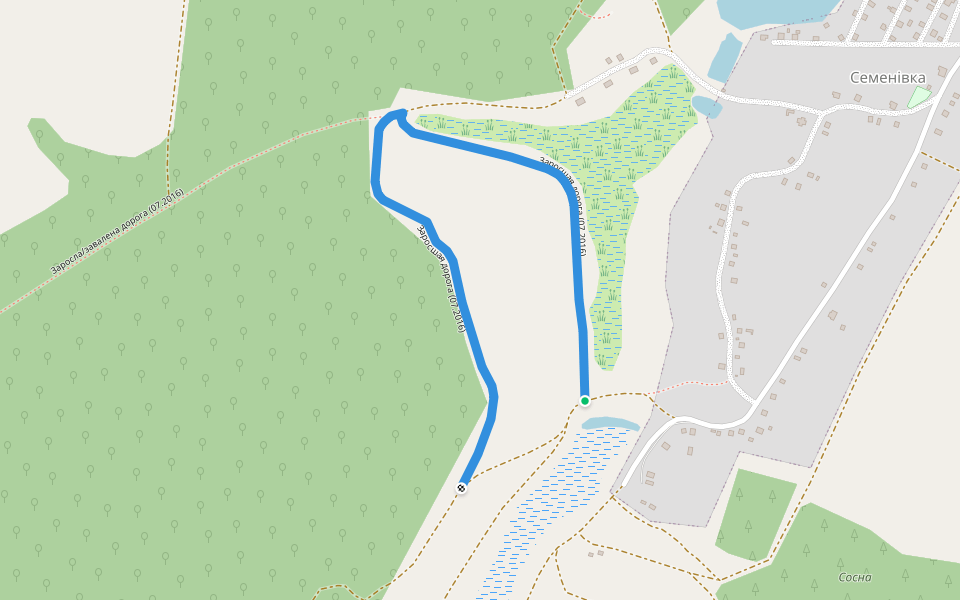 Заросшая дорога (07.2016) walking route map in Semenivka