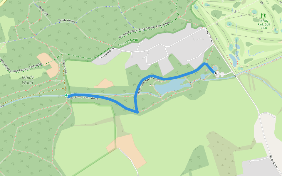 South drive, Beech Wood, walking route map in Tehidy