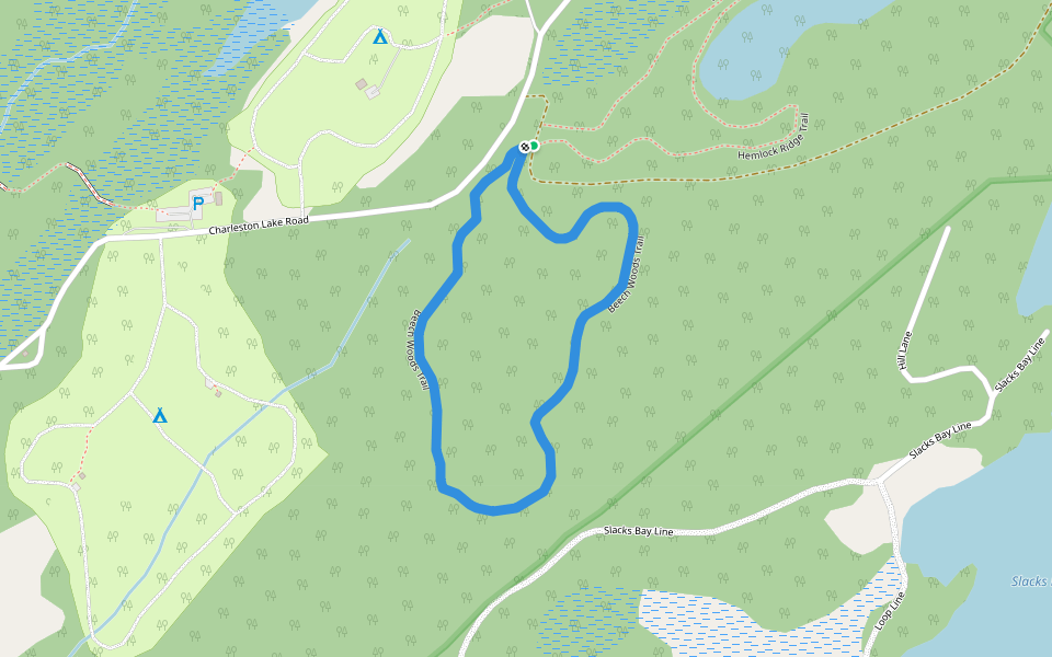 Beech Woods Trail walking route map in Lansdowne