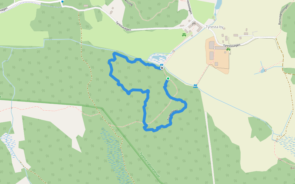 Tjäderstigen