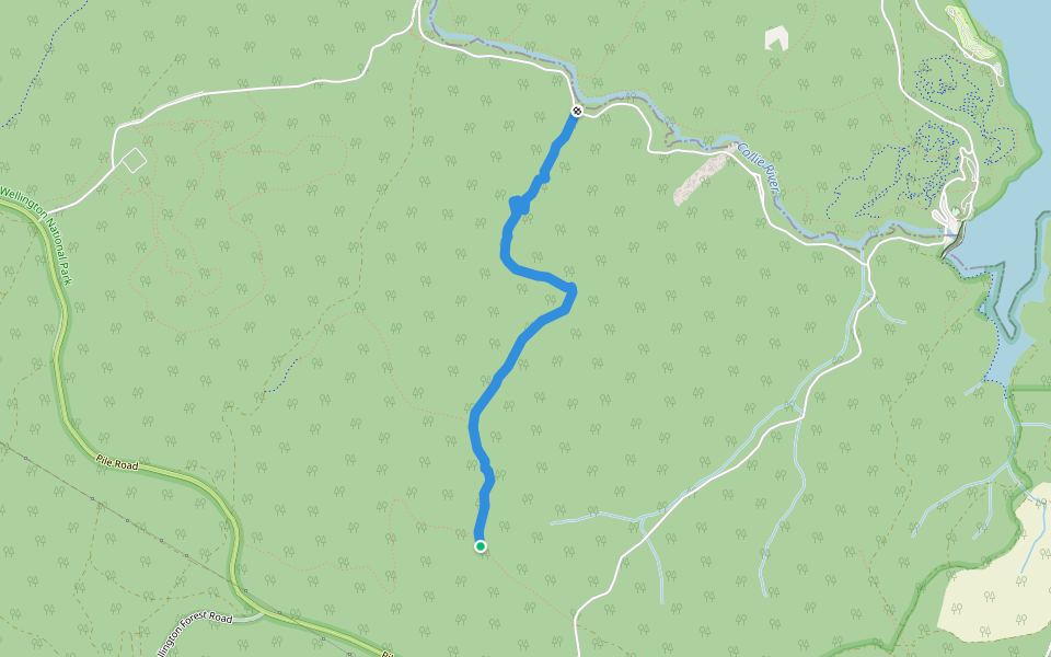 Devils Elbow Road (Overgrown) walking route map in Wellington Forest