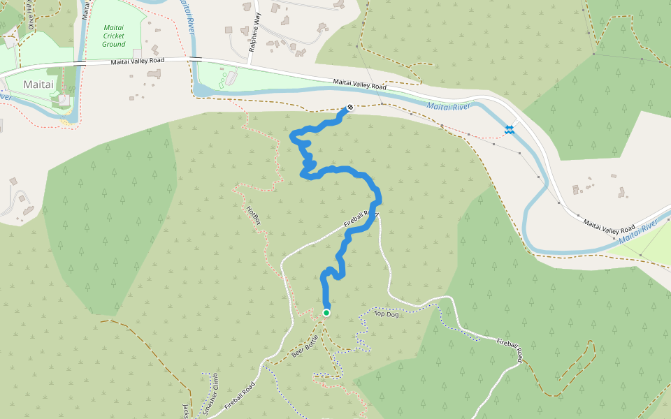 Deadly Vipers Assasination Squad in Nelson | Walking Map