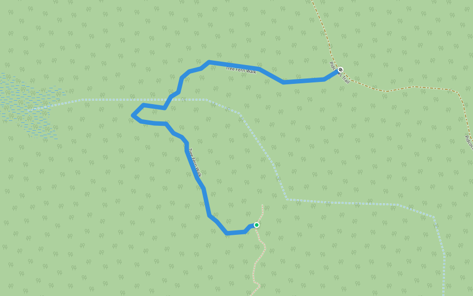 Tree Fern Walk walking route map in Gibraltar Range