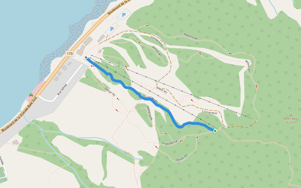 Chainsaw #5 walking route map in Saguenay