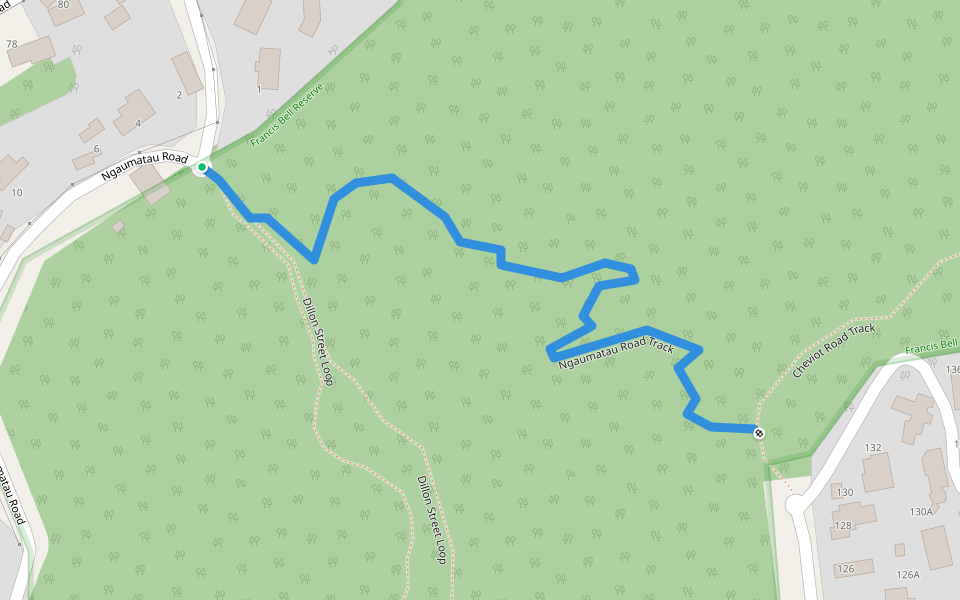 Ngaumatau Road Track