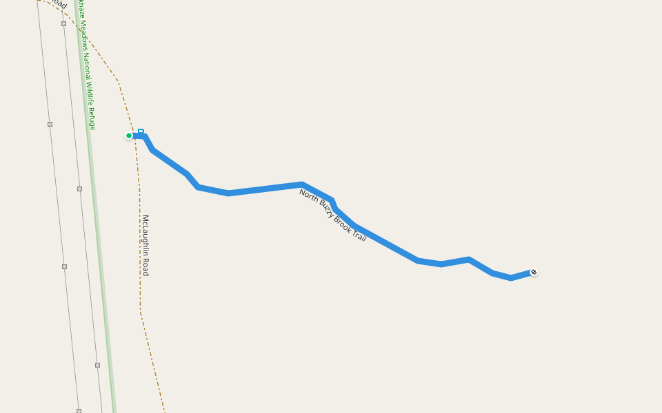 North Buzzy Brook Trail walking route map in Milford