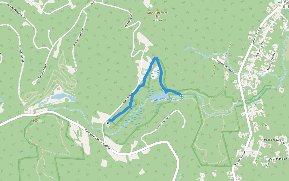 Sentier 6 - De la Salsepareille