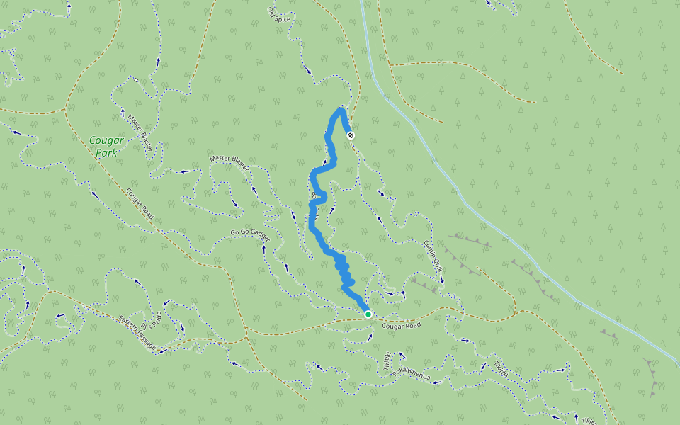 Curry in a Hurry walking route map in Kinleith