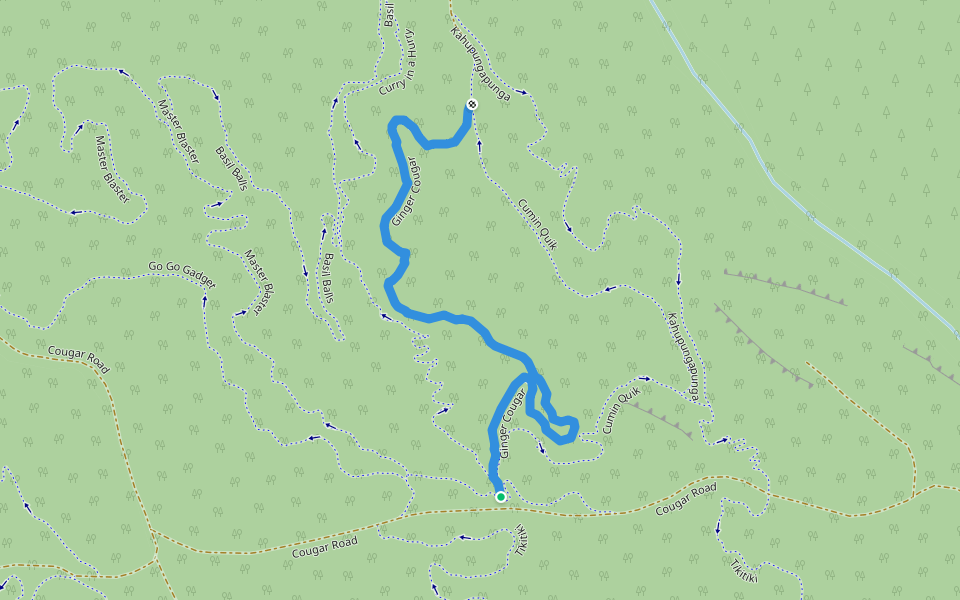 Ginger Cougar walking route map in Kinleith