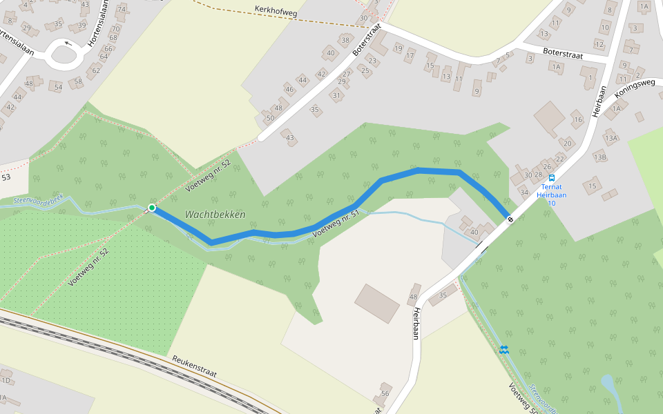 Voetweg nr. 51 walking route map in Ternat