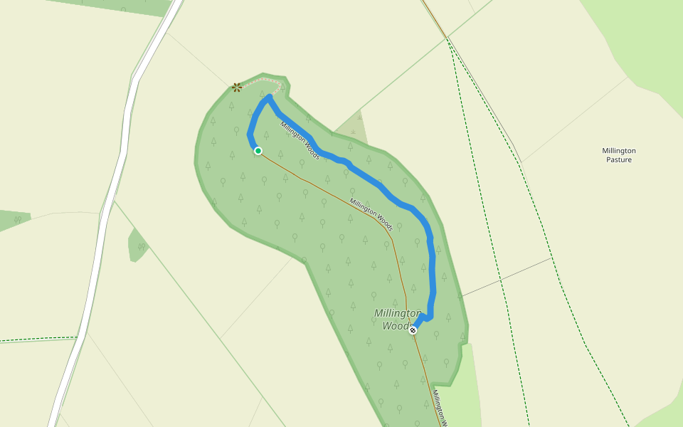 Millington Woods walking route map in Millington
