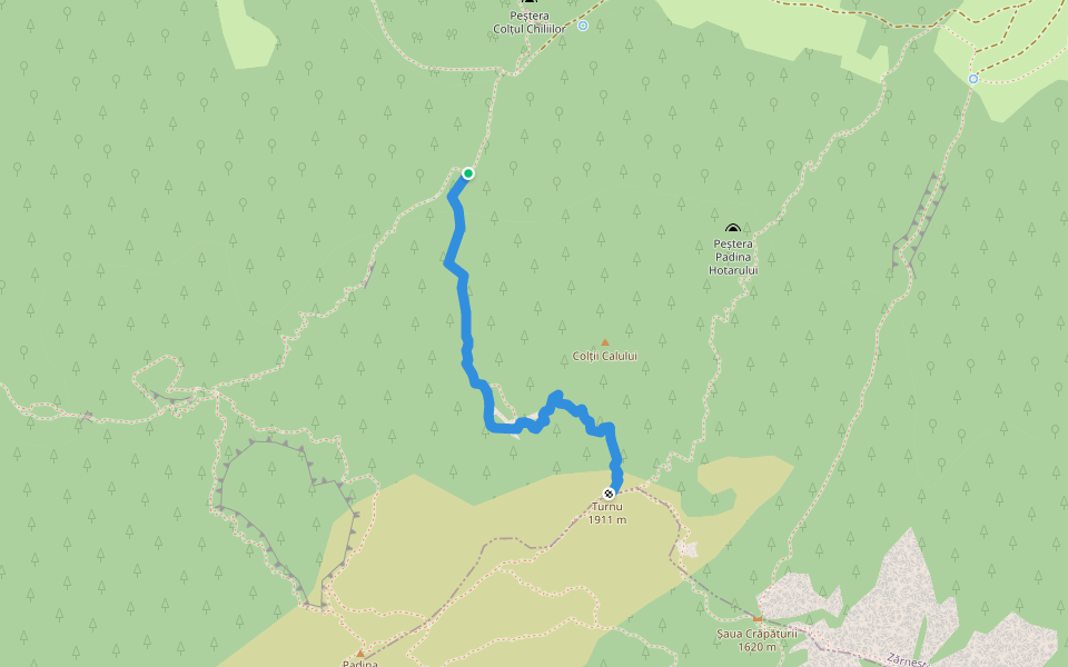 Padina Sindileriei - C.R. walking route map in Zărnești
