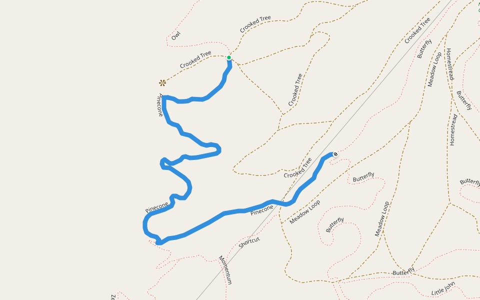 Pinecone walking route map in Dover