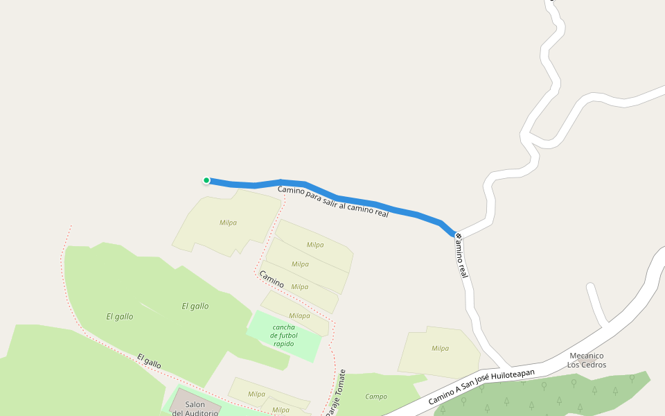 Camino para salir al camino real walking route map in Santa Cruz Ayotuzco