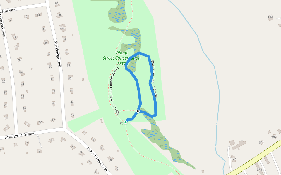 Black Loop Trail - 1/3 mile walking route map in Millis