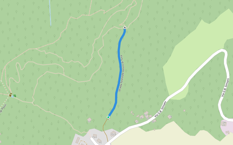 strada forestale bosco di Tura walking route map in Loiano