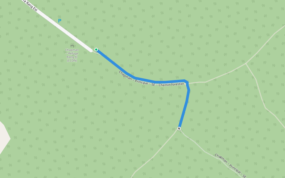Chapman ~ Principal ~ SE ~ Chemin forestier walking route map in Stoke