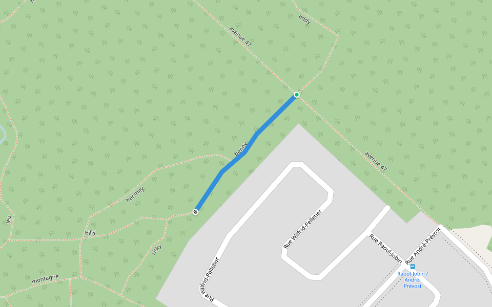 benny walking route map in Saint-Jérôme