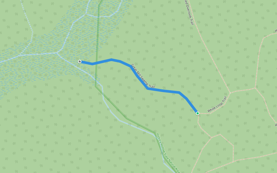 Great Mill Swamp Trail walking route map in Lancaster