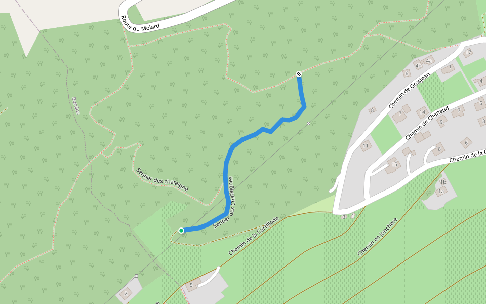 Sentier des Chataignes walking route map in Bursins