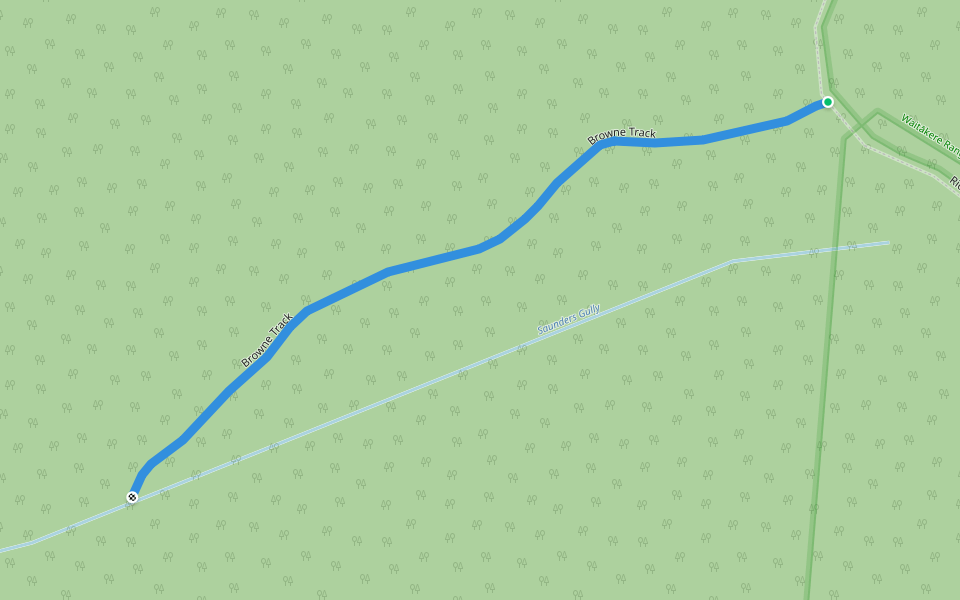 Browne Track walking route map in Anawhata