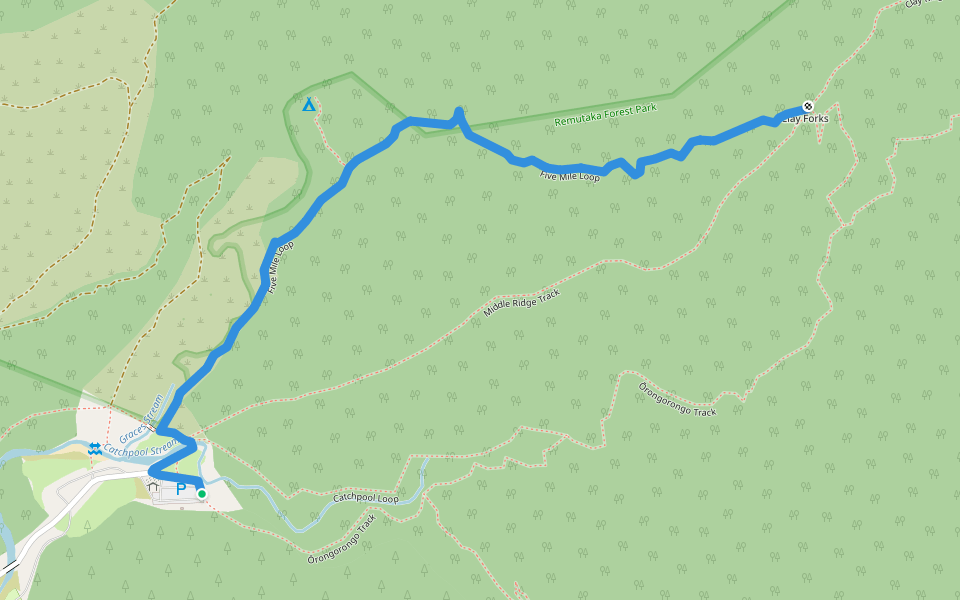 Five Mile Loop Hiking Trail Wainuiomata Coast, Wellington Pacer
