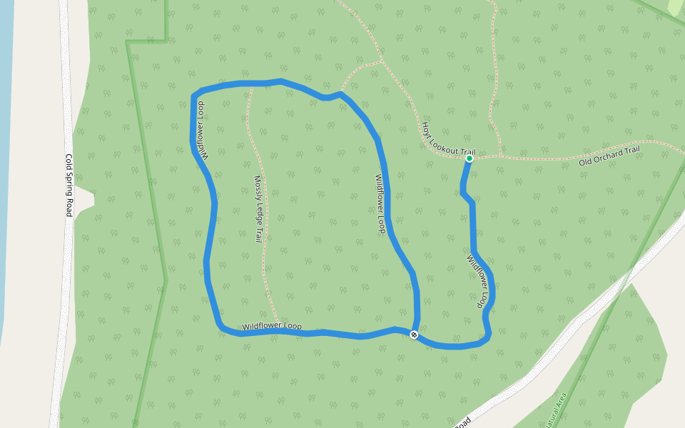 Wildflower Loop walking route map in Milton